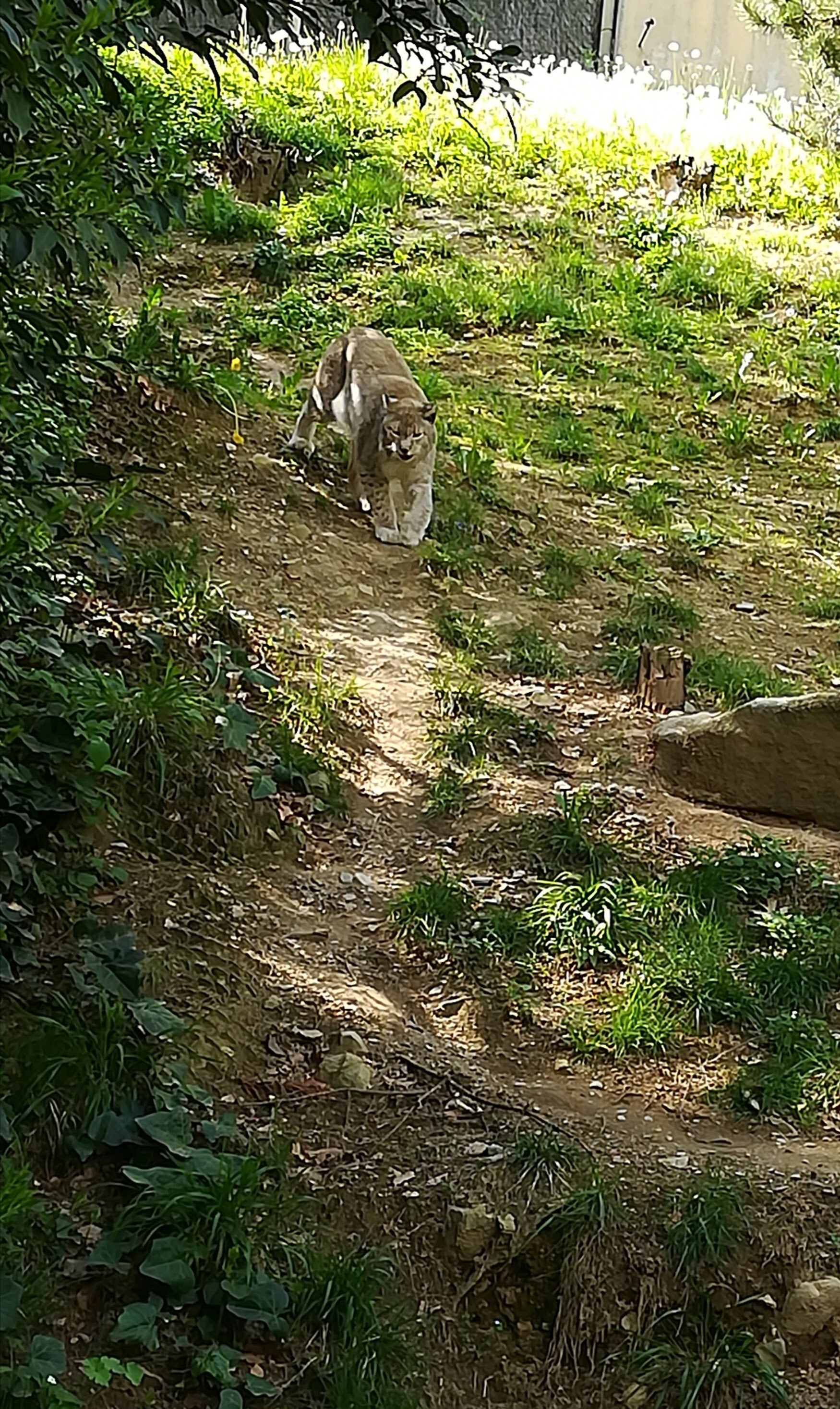 Photo n° 29 de l'avis de Sarah.L fait le 21/04/2018 à 18:44
