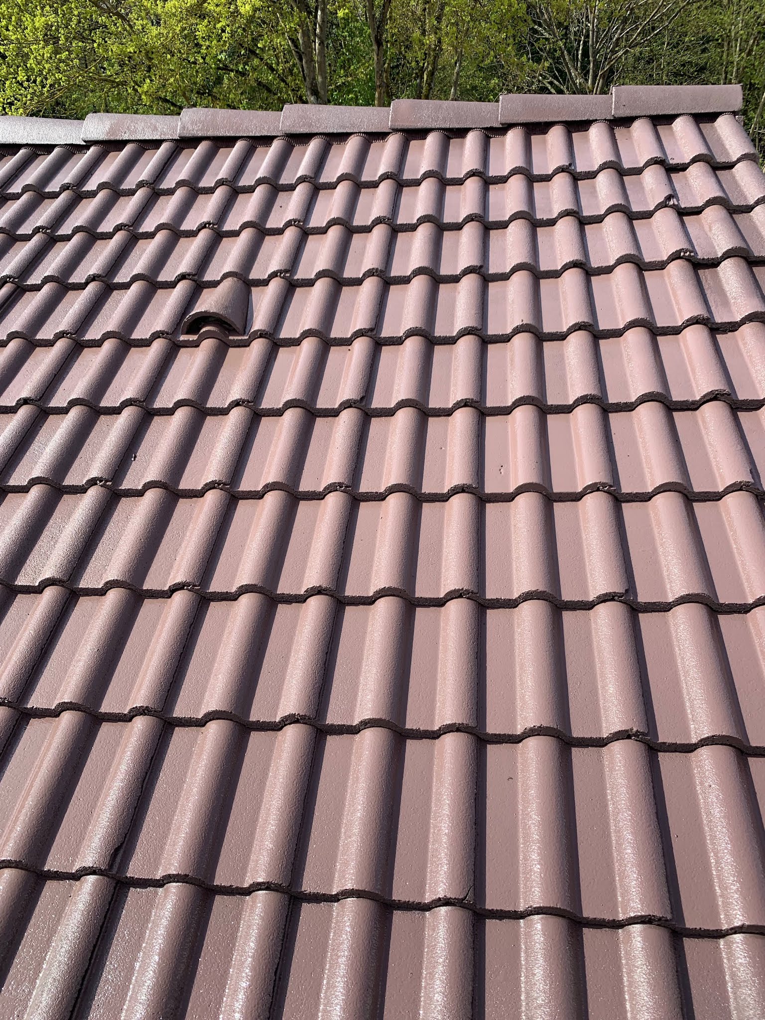 Photo n° 1 de l'avis de Tieu.h fait le 05/04/2019 à 12:23