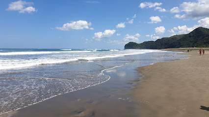 Piha Beach