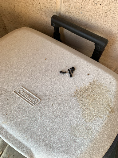 Self-Storage Facility «Life Storage», reviews and photos, 500 E Buckingham Rd, Richardson, TX 75081, USA