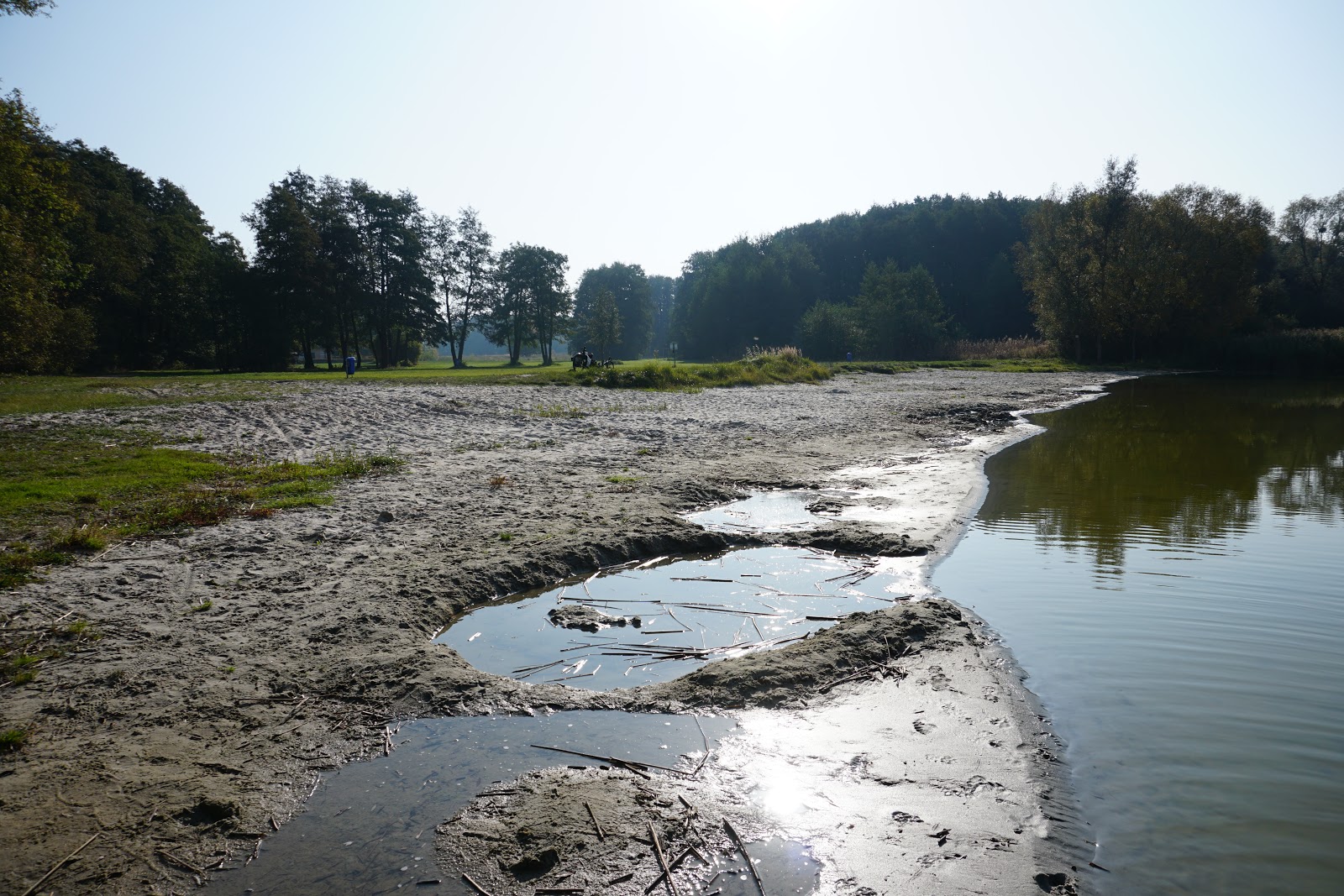 Hundestrand Dahmen photo #7