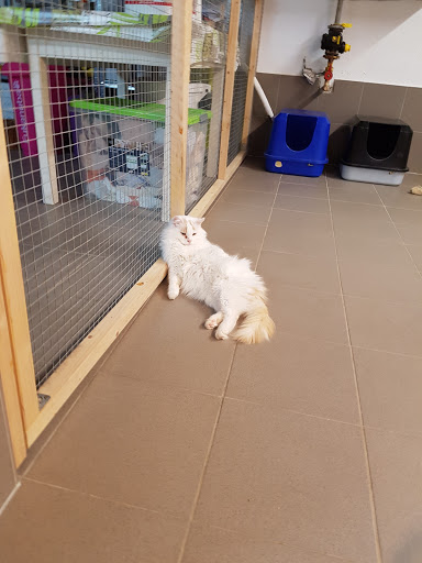 Tierschutz Bingen/Grolsheim unter Grolsheim, 