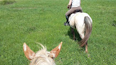 Balade à cheval et poney 31 Lasserre-Pradère