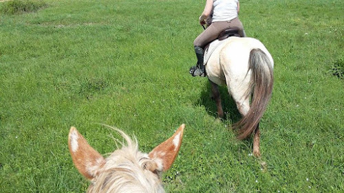 attractions Balade à cheval et poney 31 Lasserre-Pradère