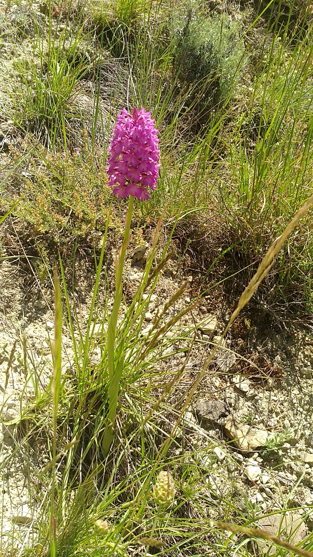 Photo n° 5 de l'avis de Marie-laure.e fait le 31/05/2019 à 15:26