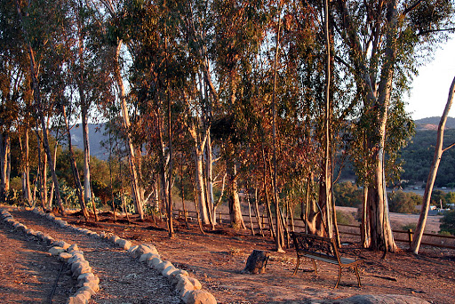 Ojai Retreat & Inn image