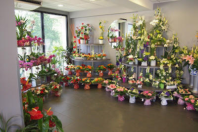 Monceau Fleurs à Cesson-Sévigné