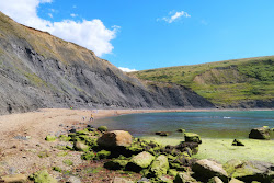 Photo de Chapman's Pool avec un niveau de propreté de assez propre