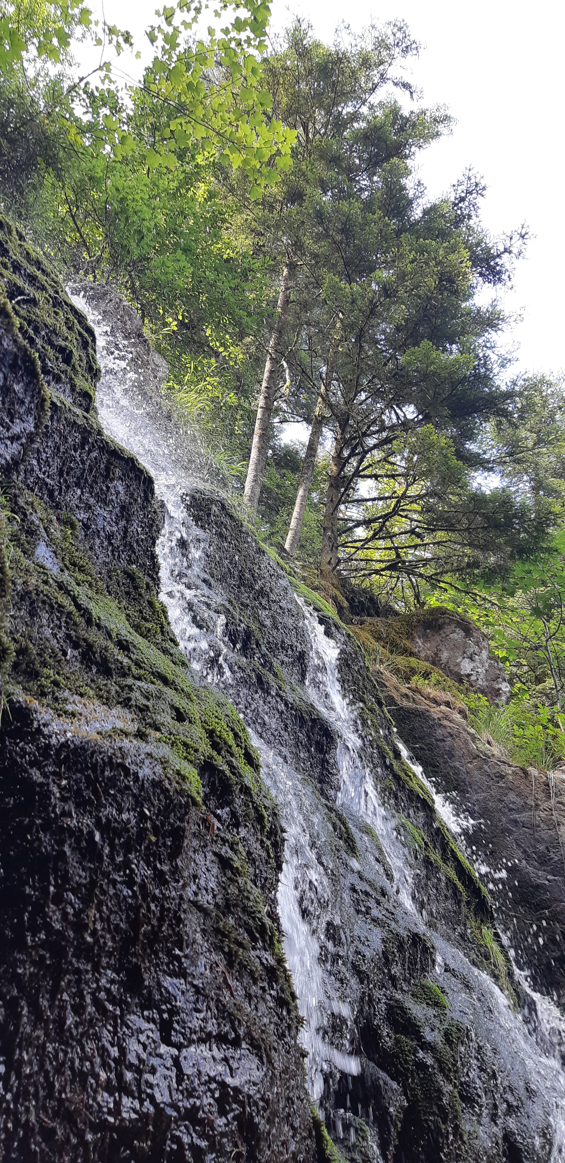 Photo n° 9 de l'avis de Anthony. fait le 03/08/2019 à 16:00