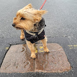 Photo n°2 de l'avis de Tanja.c fait le 17/01/2023 à 08:28 sur le  Alter Deutscher Grenzkrug Rosenkranz Inh. Silvia Brodersen à Aventoft