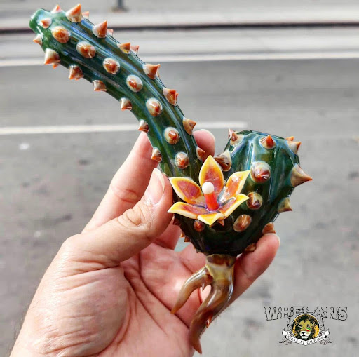 Glass Shop «WHELANS GLASS GALLERY, VAPOR, CIGAR, GIFT & SMOKE SHOP», reviews and photos, 2486 Bancroft Way, Berkeley, CA 94704, USA