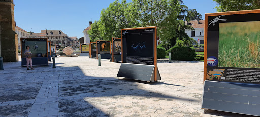 Photo 3 - Montier-en-Der