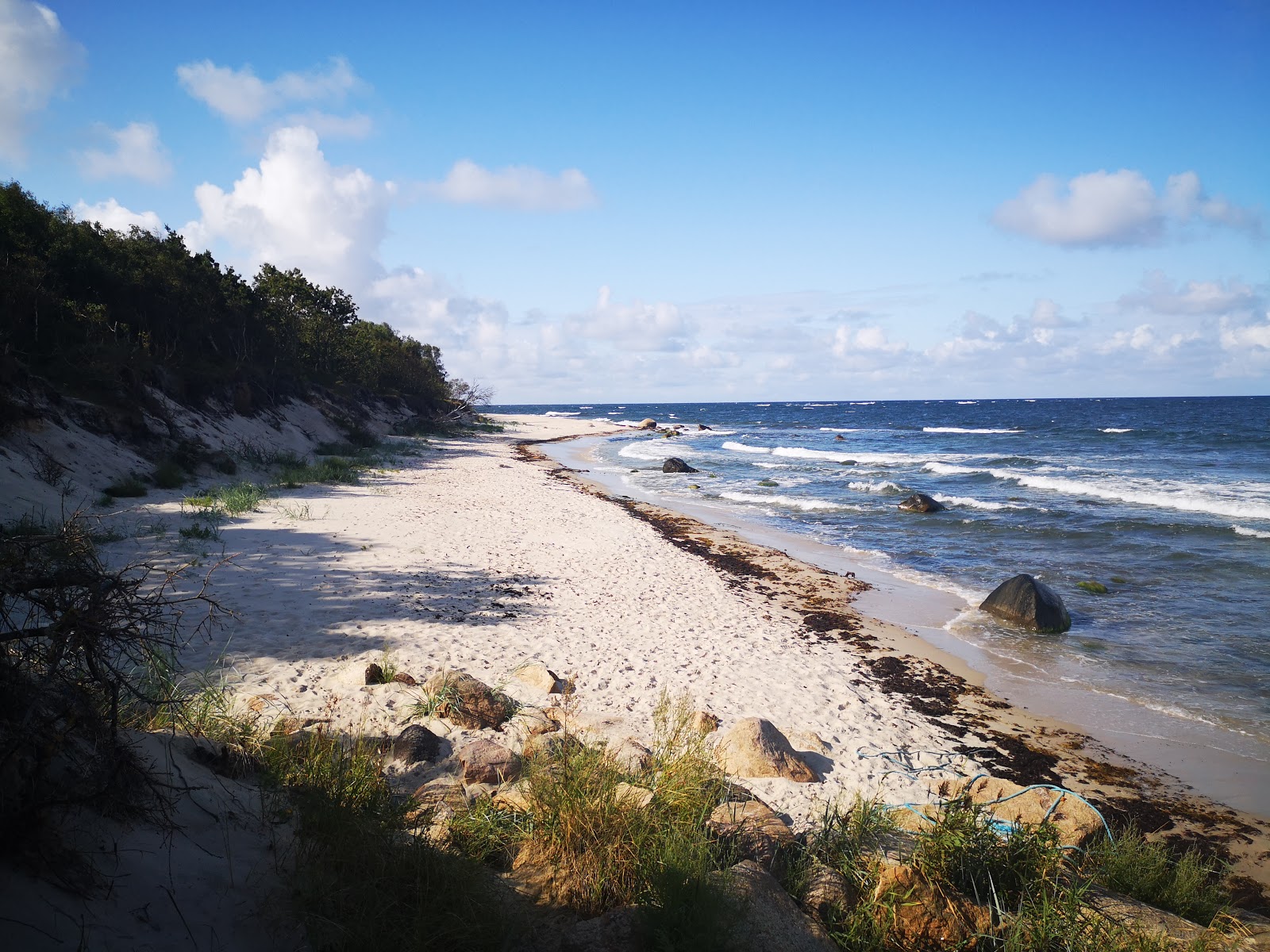 Fotografija Antoinette Beach nahaja se v naravnem okolju