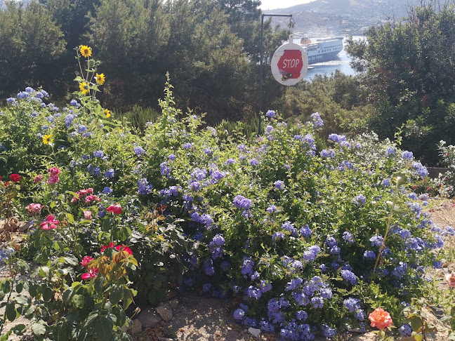 Καζέρμα των βοτάνων - Σούπερ μάρκετ