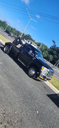 gemelos transport towing