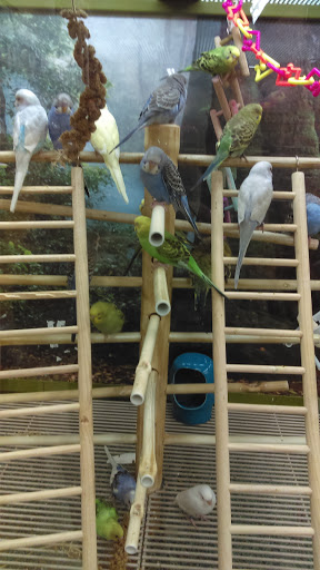 Pet Supply Store «Petco Animal Supplies», reviews and photos, 28400 Dequindre Rd, Warren, MI 48092, USA