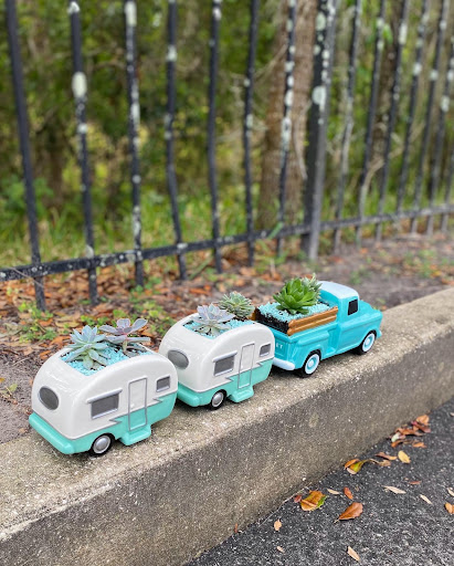 Florist «A Special Rose Florist», reviews and photos, 14546 Bruce B Downs Blvd, Tampa, FL 33613, USA