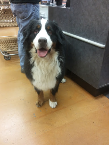 Pet Supply Store «Centinela Feed & Pet Supplies», reviews and photos, 28901 S Western Ave, Rancho Palos Verdes, CA 90275, USA