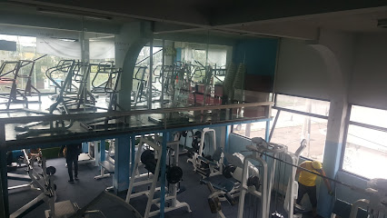 GYM EVOLUTION MONTECARLO