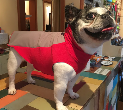 Pet Store «Four Paws on the Beach», reviews and photos, 144 Laneda Ave, Manzanita, OR 97130, USA