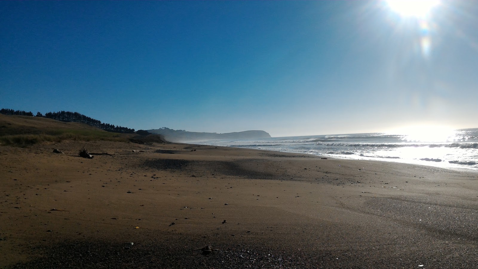 Foto van S14 Beach wilde omgeving