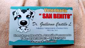 Veterinario Guillermo Castillo