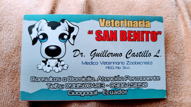 Veterinario Guillermo Castillo