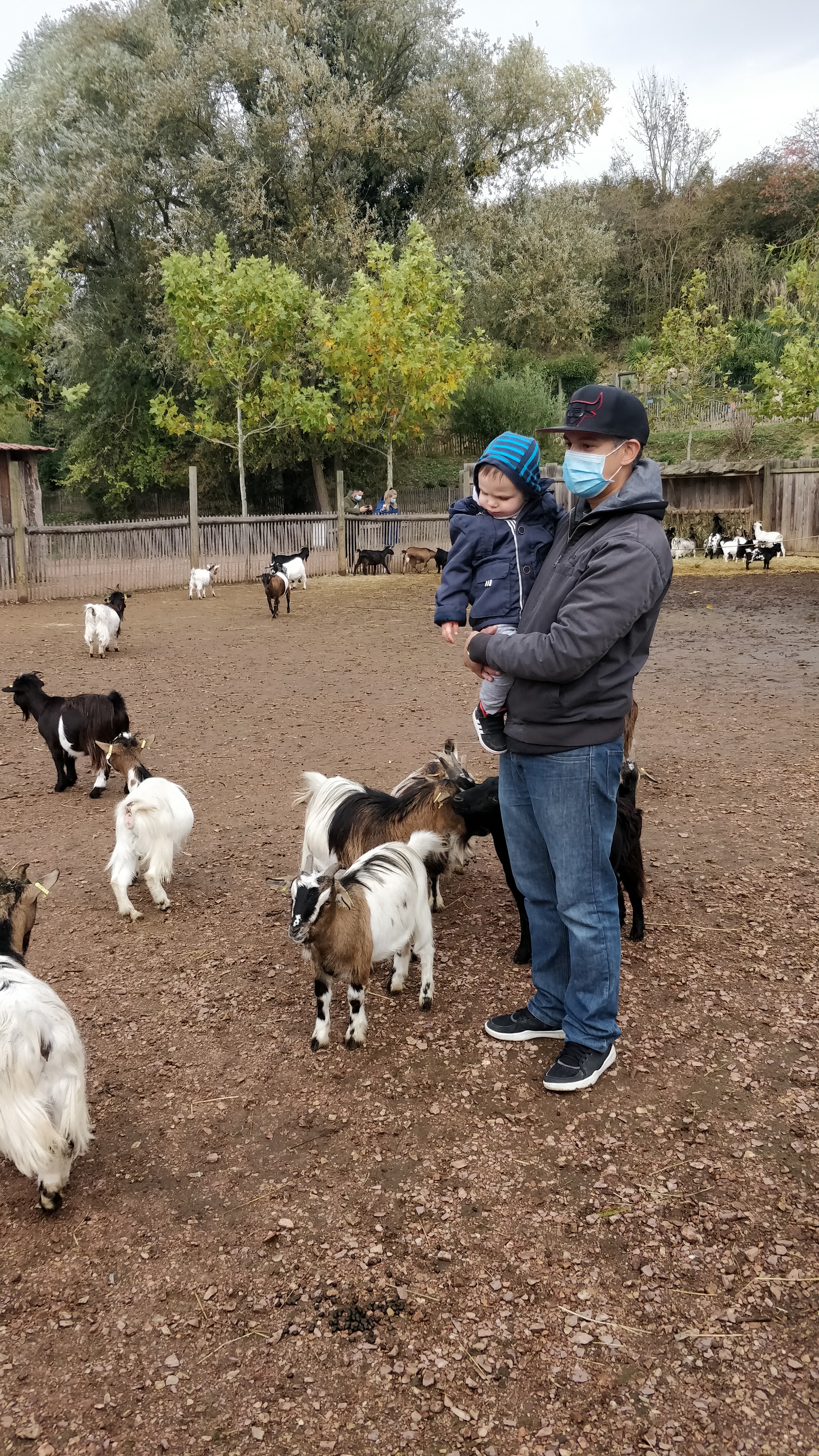 Photo n° 10 de l'avis de Daniel.o fait le 25/10/2020 à 14:01