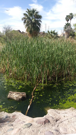 Park «Evelyn Hallman Park», reviews and photos, 1900 N College Ave, Tempe, AZ 85281, USA