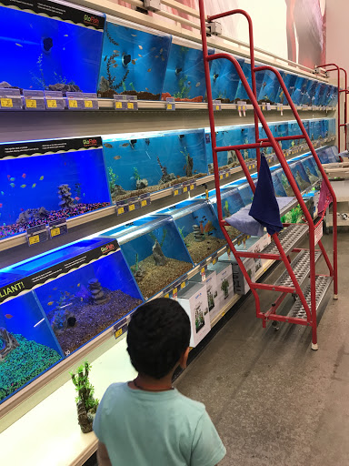 Pet Supply Store «PetSmart», reviews and photos, 13764 W Bell Rd, Surprise, AZ 85374, USA