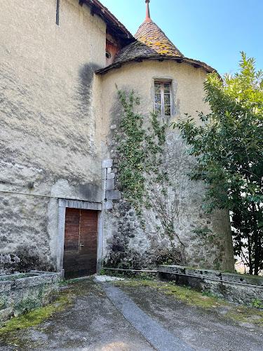 Rezensionen über Château du Châtelard in Montreux - Museum