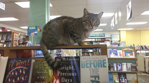 Book Store «Orca Books», reviews and photos, 509 4th Ave E, Olympia, WA 98501, USA