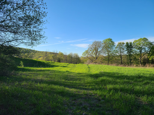 State Park «Goosepond Mountain State Park», reviews and photos, 1198 New York 17M, Chester, NY 10918, USA