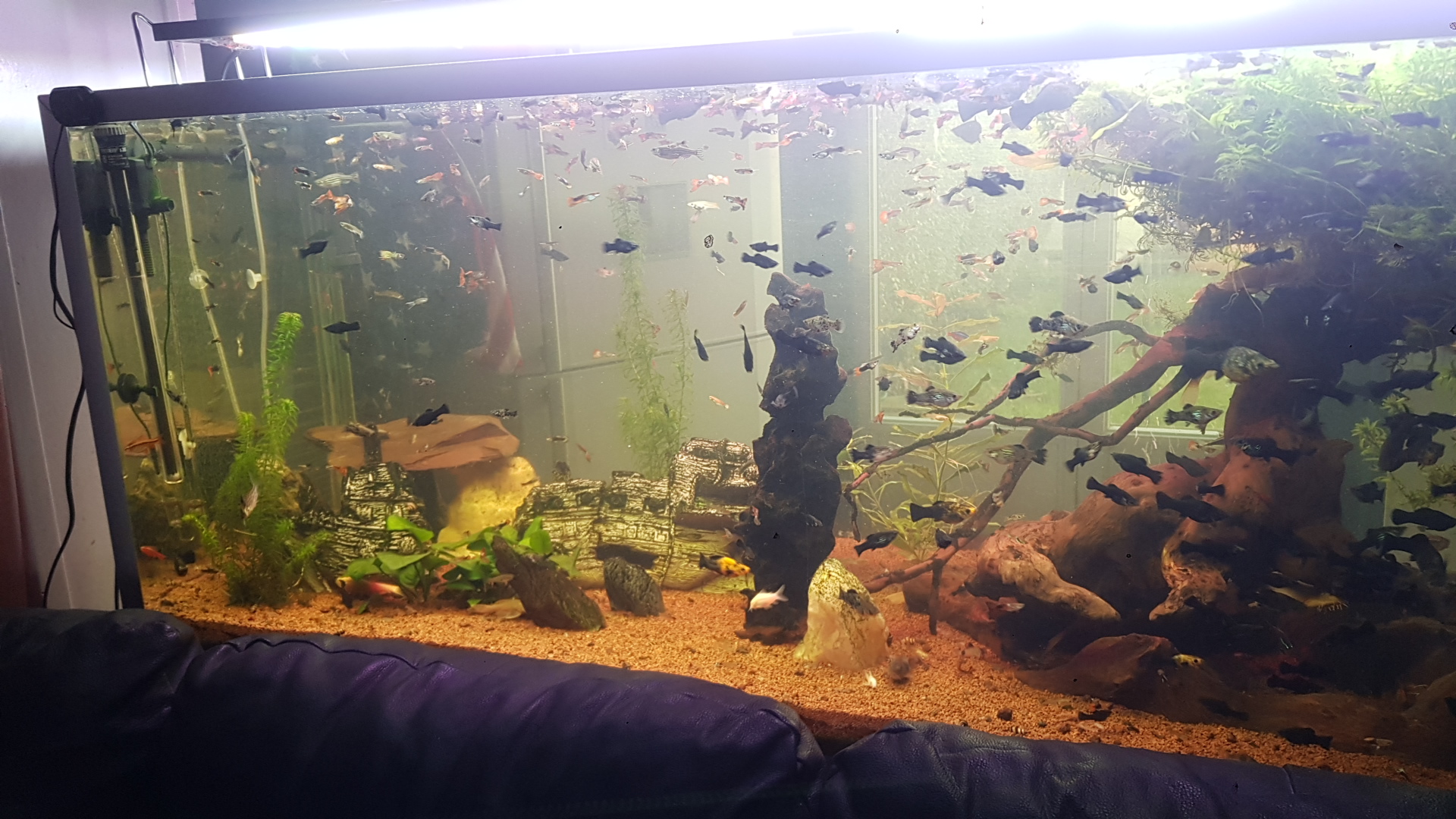 Photo n° 4 de l'avis de Deadleouf.o fait le 01/02/2022 à 15:37