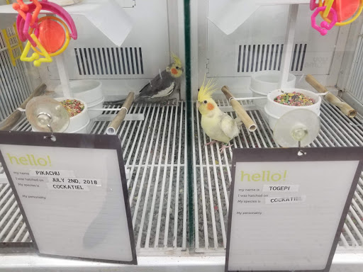 Pet Supply Store «Petco Animal Supplies», reviews and photos, 825 Hartford Turnpike, Waterford, CT 06385, USA