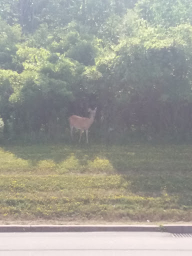 Movie Theater «Regal Cinemas Henrietta 18», reviews and photos, 525 Marketplace Dr, Rochester, NY 14623, USA