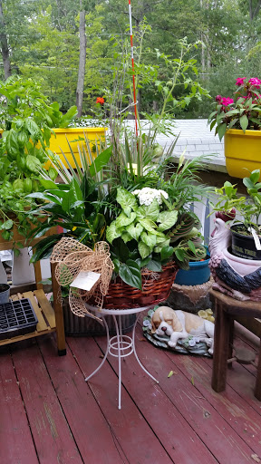 Florist «Floral Boutique», reviews and photos, 13 N 5th St, Stroudsburg, PA 18360, USA