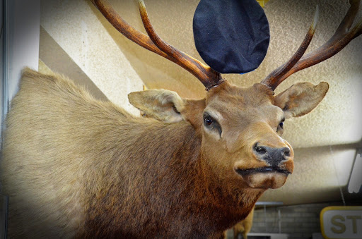 Pawn Shop «AAA Loan & Gun Shop Inc», reviews and photos, 12831 Pacific Hwy SW, Lakewood, WA 98499, USA