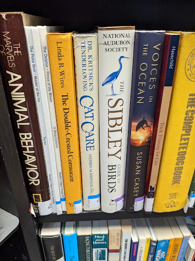 Thrift Store «Goodwill Bookstore», reviews and photos