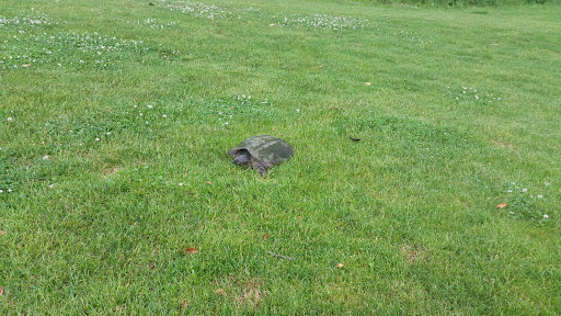 Golf Course «Elbel Golf Course», reviews and photos, 26595 Auten Rd, South Bend, IN 46628, USA