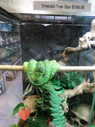 Pet Store «Exotic Pets», reviews and photos, 2410 N Decatur Blvd #160, Las Vegas, NV 89108, USA