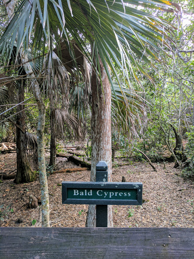 Park «Winston Park Nature Center», reviews and photos, 5201 NW 49th Ave, Coconut Creek, FL 33073, USA