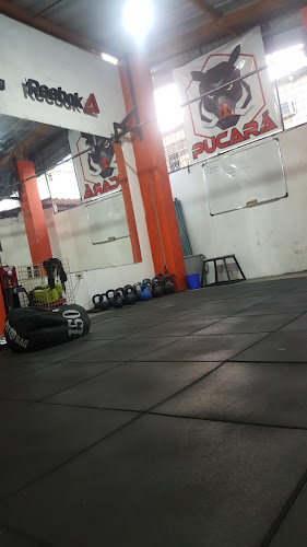 Opiniones de Pucará XFIT Crossfit en Guayaquil - Gimnasio