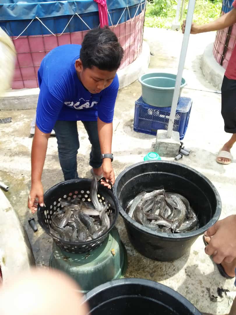 Gambar Pokdakan Tiara Jaya