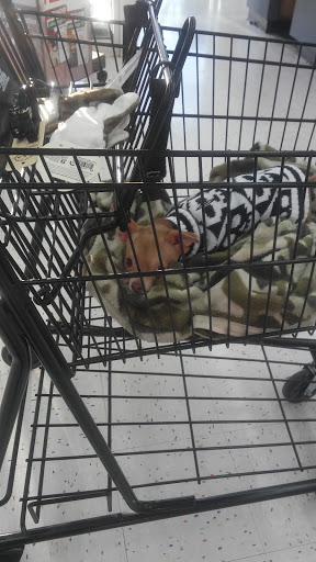 Pet Supply Store «Petco Animal Supplies», reviews and photos, 551 W Hampden Ave, Englewood, CO 80110, USA