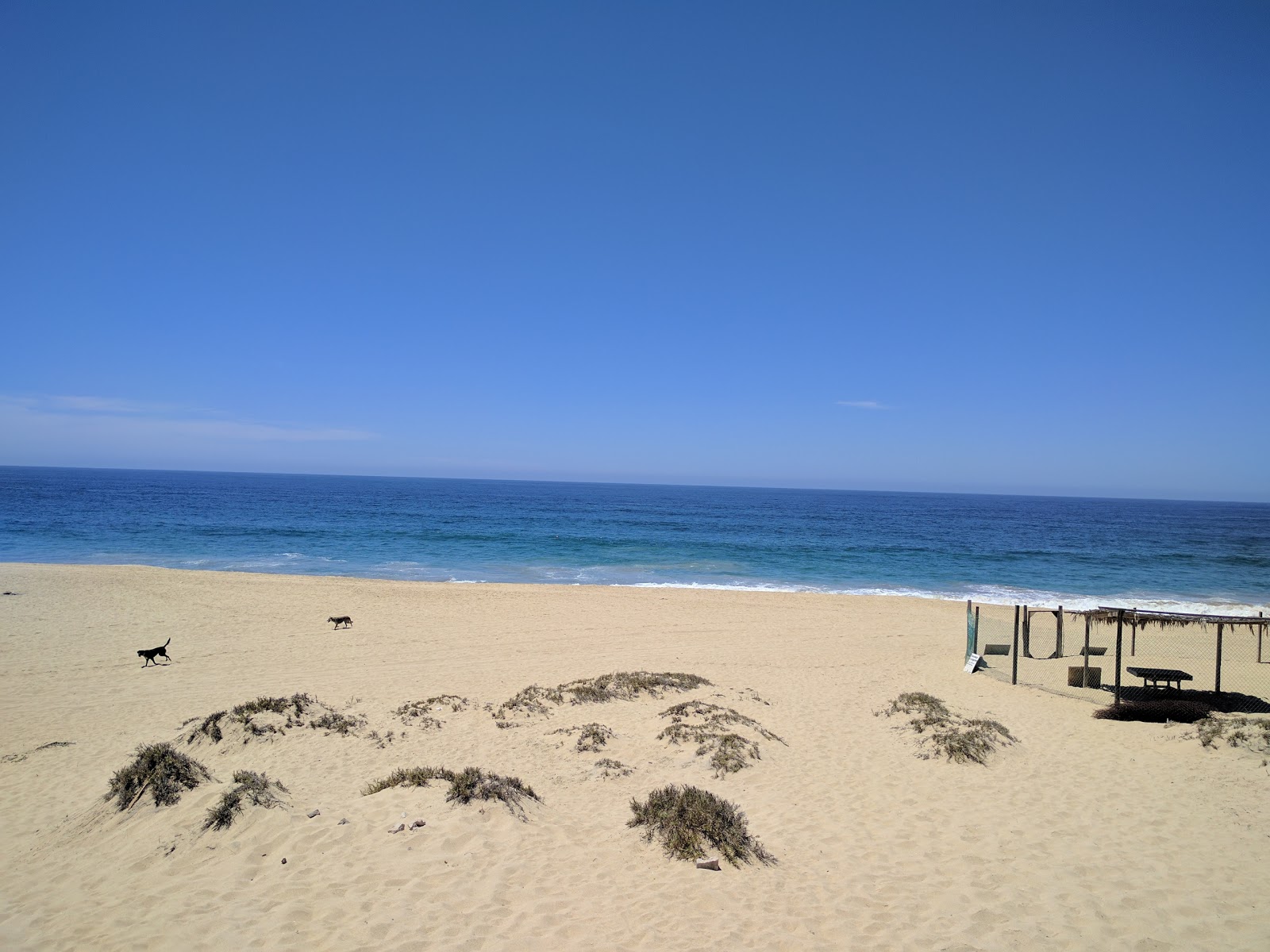 Φωτογραφία του Playa Los Mangos και η εγκατάσταση