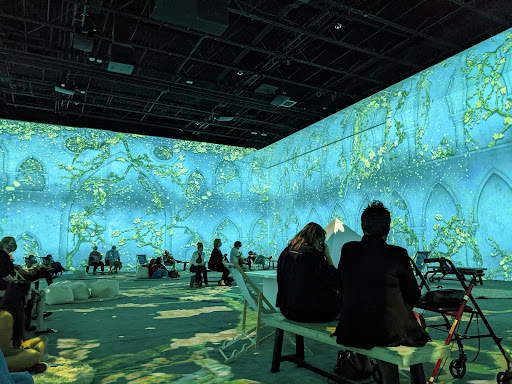 Van Gogh The Immersive Experience - Houston image 9