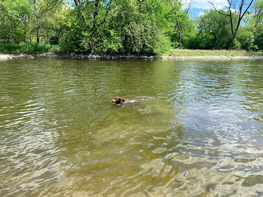 Park «Gregory Island Dog Park», reviews and photos, 100-140 E Indian Trail, North Aurora, IL 60542, USA