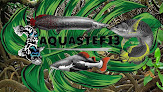 Aquastef13 Roquevaire