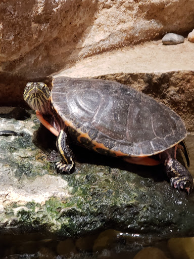 Nature Preserve «Indian Creek Nature Center», reviews and photos, 5300 Otis Rd, Cedar Rapids, IA 52403, USA